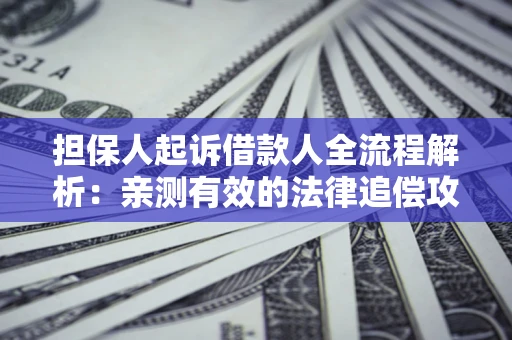 北京担保人起诉借款人全流程解析：亲测有效的法律追偿攻略