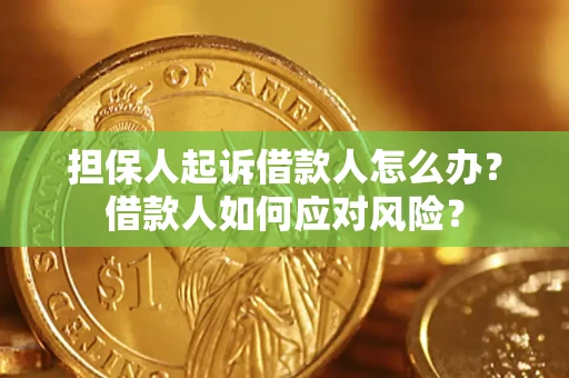 北京担保人起诉借款人怎么办？借款人如何应对风险？