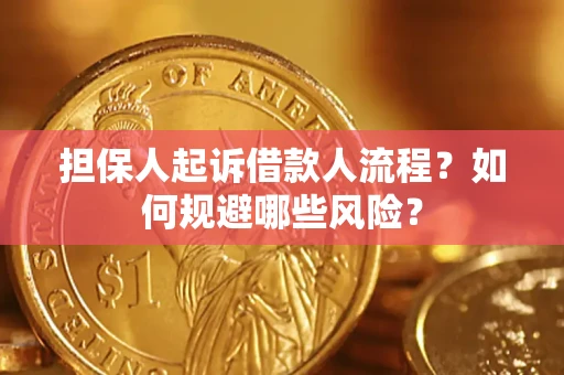 北京担保人起诉借款人流程？如何规避哪些风险？